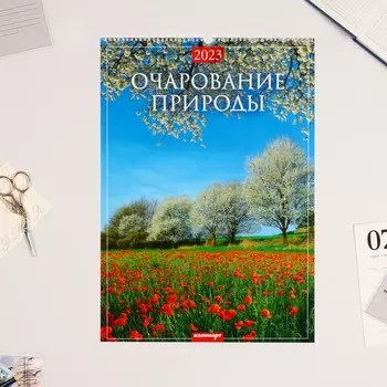 Календарь перекидной на ригеле "Очарование природы" 2023 год, 42 х 59,4 см