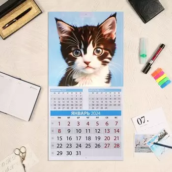 Календарь перекидной на скрепке "Котята" 2024 год, 12 листов, 29х29 см