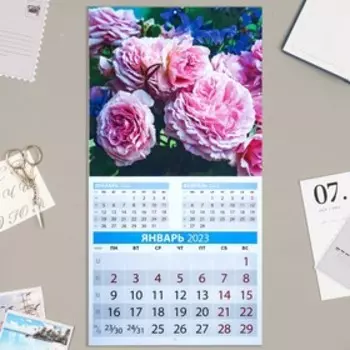 Календарь перекидной на скрепке "Пионы" 2023 год, 28,5 х 28,5 см