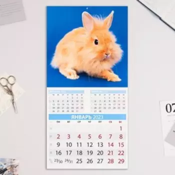 Календарь перекидной на скрепке "Символ Года - 4" 2023 год, 28,5х28,5 см