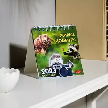 Календарь перекидной настольный, домик "Живые моменты" 10х10 см, 2023 год