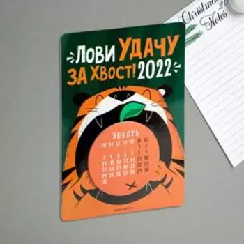 Календарь с отрывным блоком «Лови удачу за хвост!», 16 х 11 см
