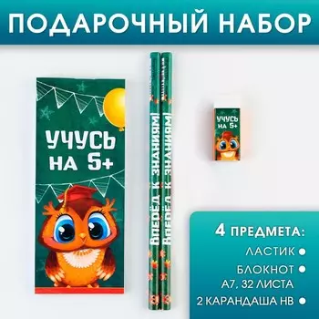 Канцелярский набор на выпускной «Удачи тебе, выпускник!» 4 предмета