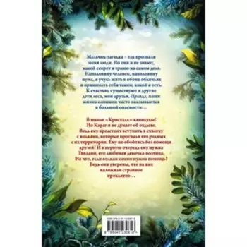 Караг и волчье испытание (#7). Брандис Катя