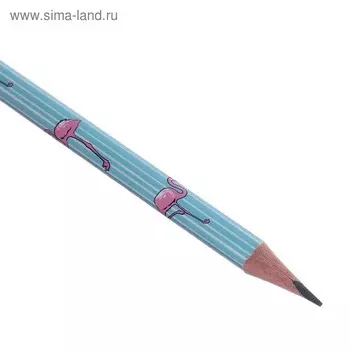 Карандаш чернографитный 2 мм Happy Graphix «Фламинго», НВ, трёхгранный