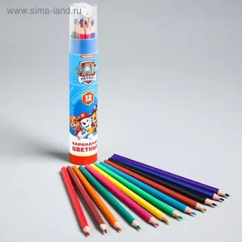 Цветные карандаши в тубусе, 12 цветов, трехгранные, Щенячий патруль