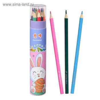 Карандаши цветные, в пластиковом тубусе, 12 цветов, корпус шестигранный, заточенные