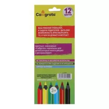 Карандаши Calligrata цветные заточенные, 12 цветов, в картонной коробке