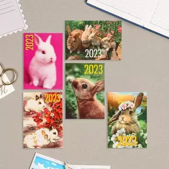 Карманный календарь "Символ года - 1" 2023 год, 7х10см, МИКС