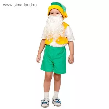 Карнавальный костюм «Гном», плюш лайт, жилет, шорты, колпак, борода, рост 92-116 см