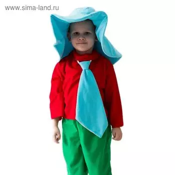 Карнавальный костюм «Незнайка», шляпа, рубашка, галстук, бриджи, 5-7 лет, рост 122-134 см