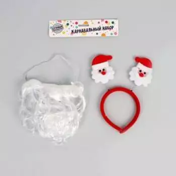Новогодняя карнавальная борода + подарок, на новый год