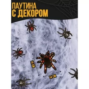 Прикол паутина «Жуки-пауки»