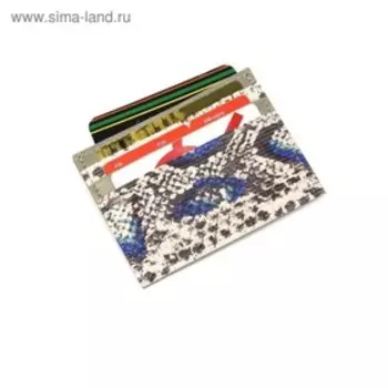 Картхолдер, цвет серый/синий