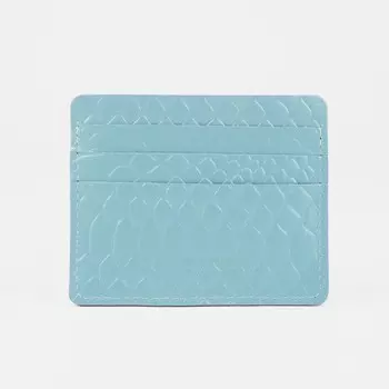 Картхолдер, цвет голубой