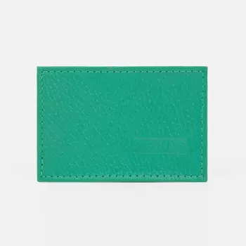 Картхолдер, цвет зелёный