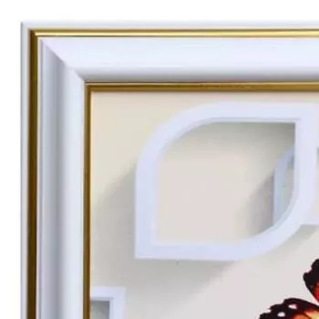 Картина "Бабочки на цветах" 50х70(53х73) см