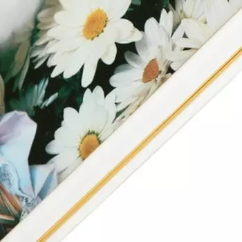 Картина "Беленький котёнок" 35х28 (38х31) см