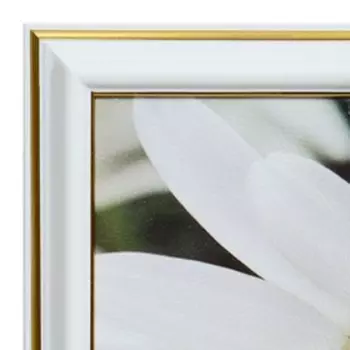 Картина "Божья коровка на цветке" 25х25(28х28) см