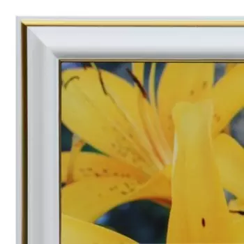 Картина "Цветы" 20х25 (22х27) см