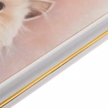 Картина "Девушка с котом" 35х28 (38х31)см