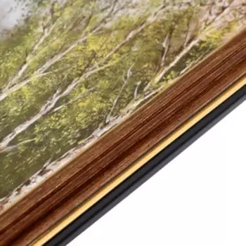 Картина "Дом у реки" 35х28 (38х31) см