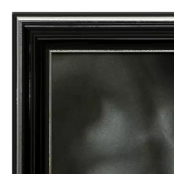 Картина "Гепард" 35х28 (38х31) см