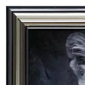 Картина "Голубоглазый хищник" 13х18(16х21) см