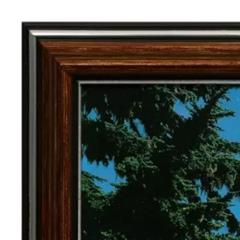 Картина "Горы" 35х28 (38х31) см