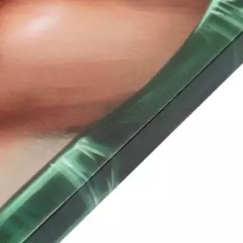 Картина-холст на подрамнике "Леди пион" 60х100 см