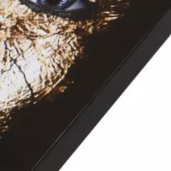 Картина-холст на подрамнике "Сияние" 50х70 см