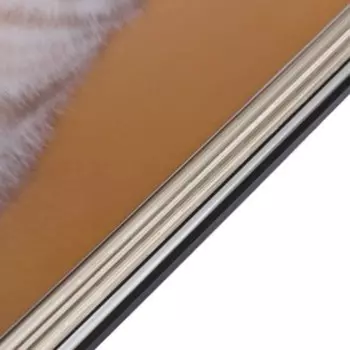 Картина "Котенок" 30х39 см