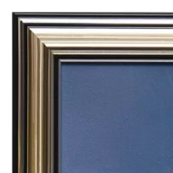 Картина "Котёнок" 20х25(23,5х28,5) см