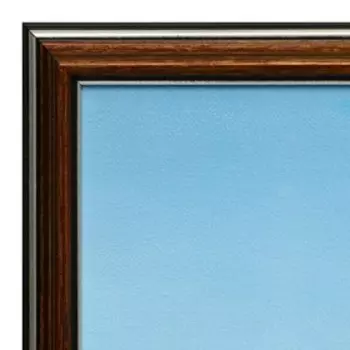 Картина "Львиная семья" 30х70 (36*73) см