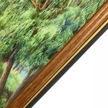 Картина "Лебеди в пруду" 30х40 (33х43) см