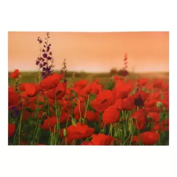Картина "Маковое поле" 50*70 см