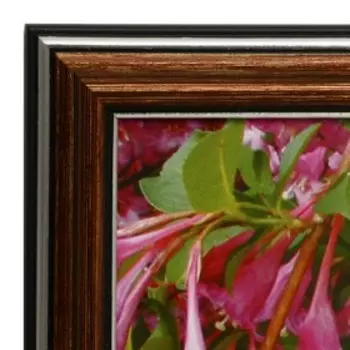 Картина "Милый щенок" 35х28 (38*31) см