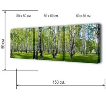 Картина модульная на подрамнике "Березовая роща" 50*50см, 50*50см, 50*50см 150x50см