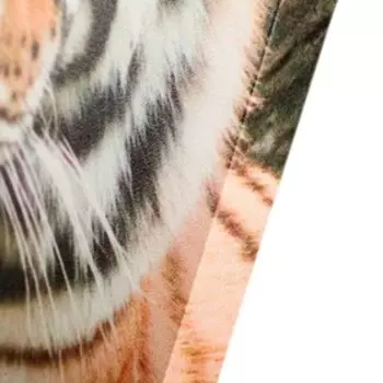 Картина модульная на подрамнике "Хищник" (2-25х50, 30х60см) 80х60см