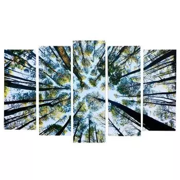 Картина модульная на подрамнике "Величие неба" 125х80 см (1-25х80; 2-25х70; 2-25х63)