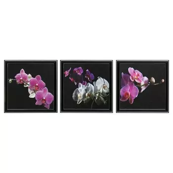 Картина модульная "Ветки орхидеи" 25х75(28х84) см 3шт-25х25(28х28)см
