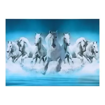 Картина на холсте "На встречу ветру" 50*70 см