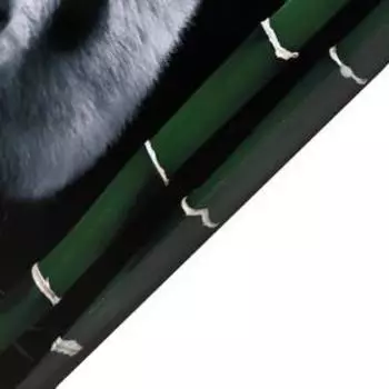 Картина на холсте "Панда в листьях" 50х70 см