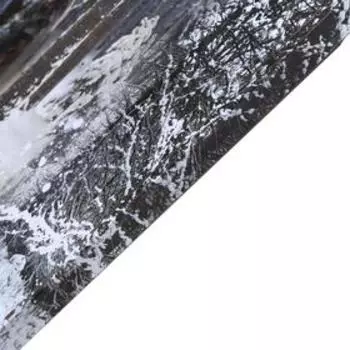 Картина на холсте "Схватка зверей" 60х100 см