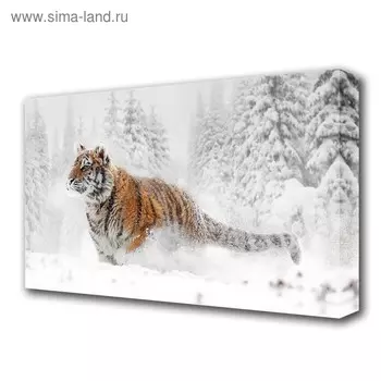 Картина на холсте "Тигр в снегу" 60*100 см