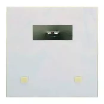 Картина на стекле "Бабочки на цветке" 30*30см