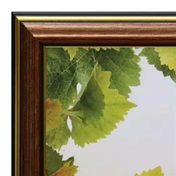 Картина "Натюрморт" 50х40 (53*43)см