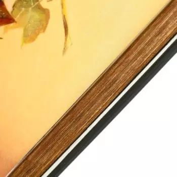 Картина "Натюрморт с фруктами" 33х43 см