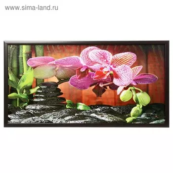 Картина "Орхидеи" 50х100(55х105) см