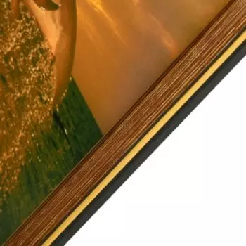 Картина "Пара дельфинов" 35х28 (38*31) см